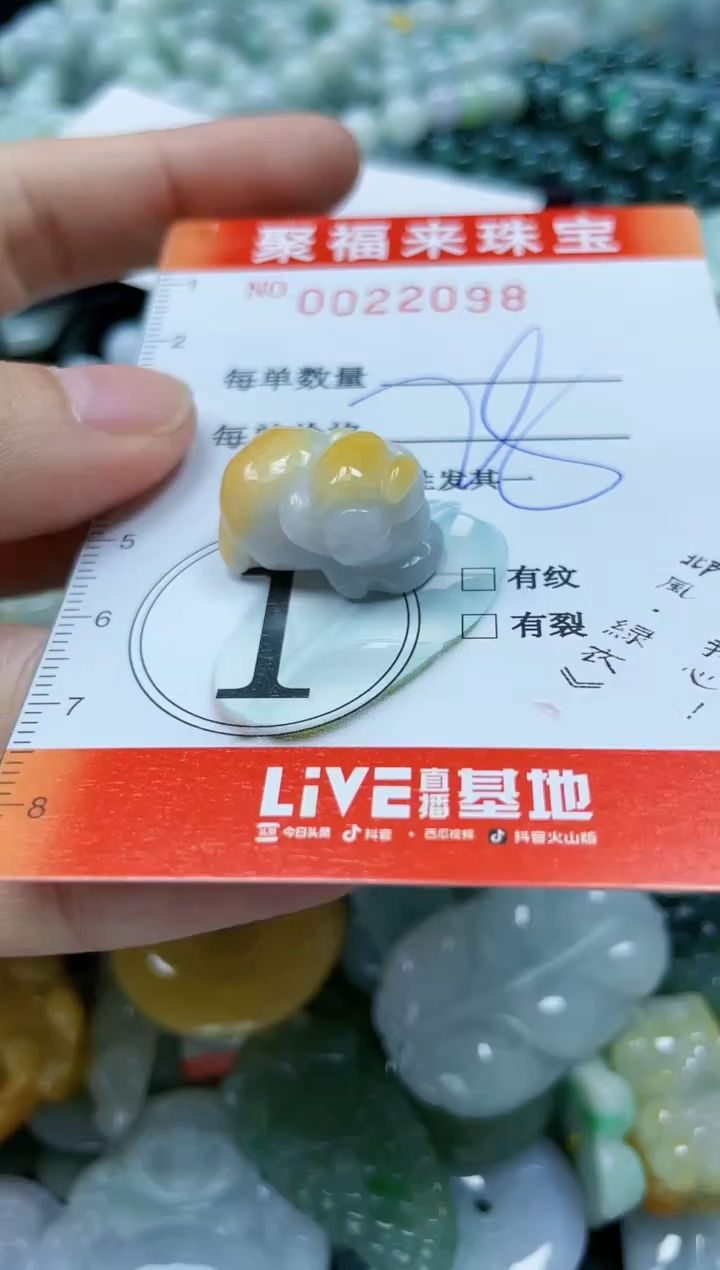 【闪购商品】翡翠颈饰未镶嵌闪购0022098