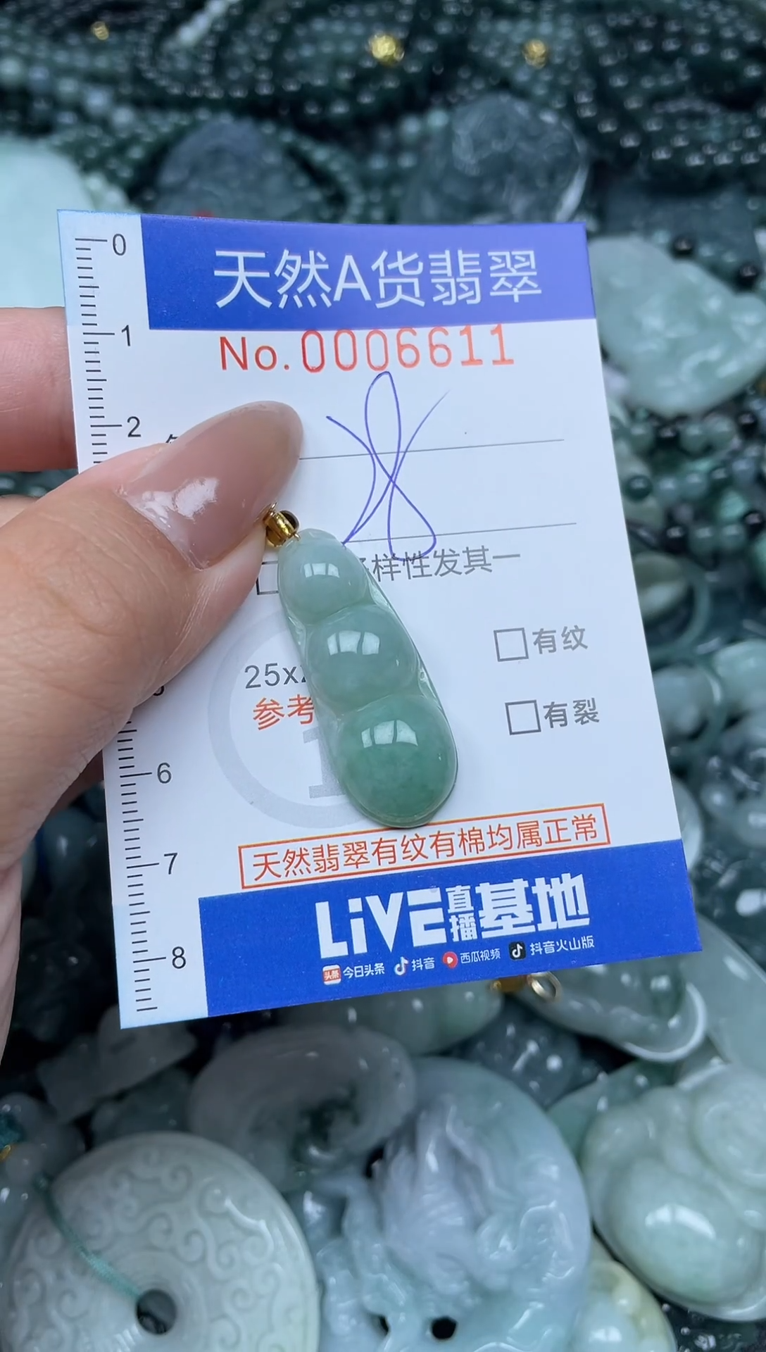 颈饰未镶嵌翡翠天然A货 支持复检