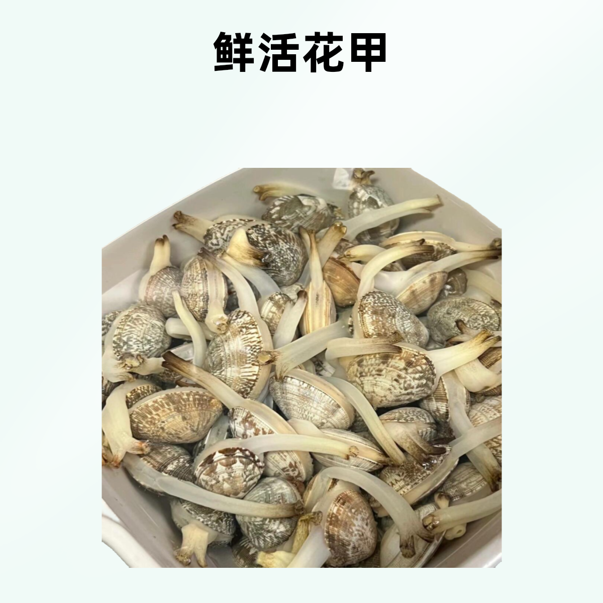 直播专享 鲜活花甲（2斤装）