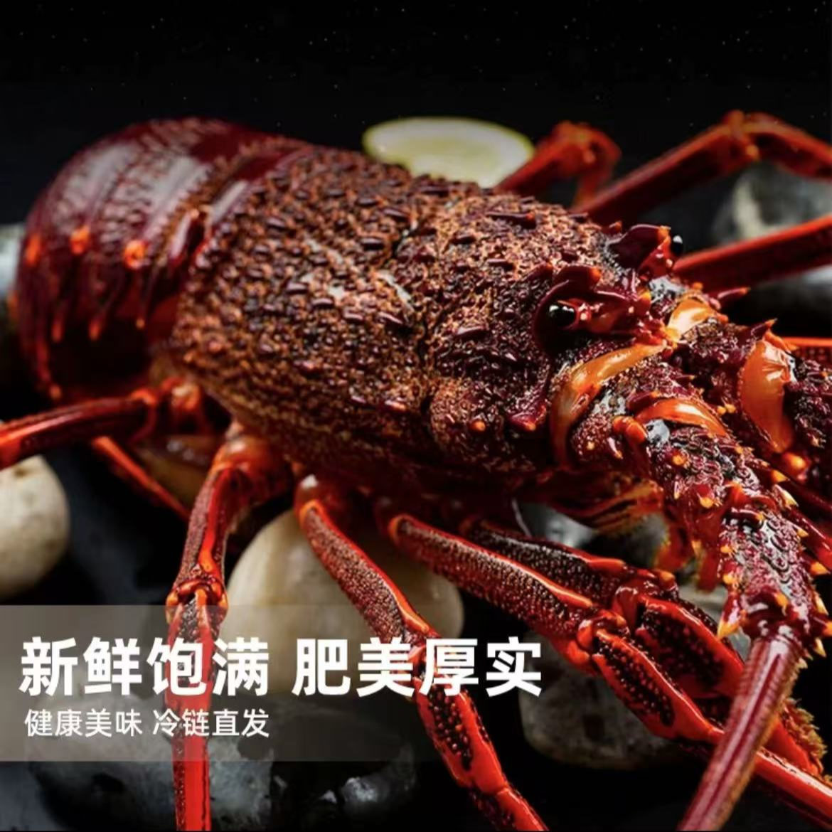 冷冻红龙 顺丰冷链发货