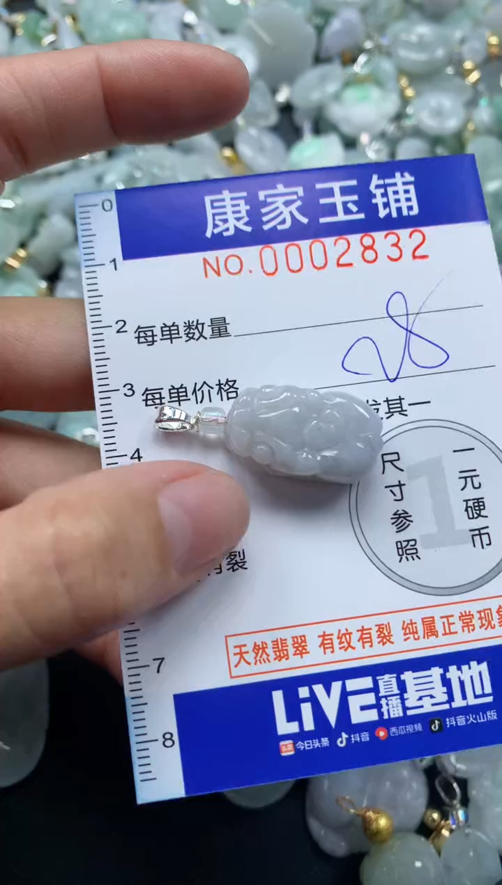 颈饰未镶嵌翡翠2832