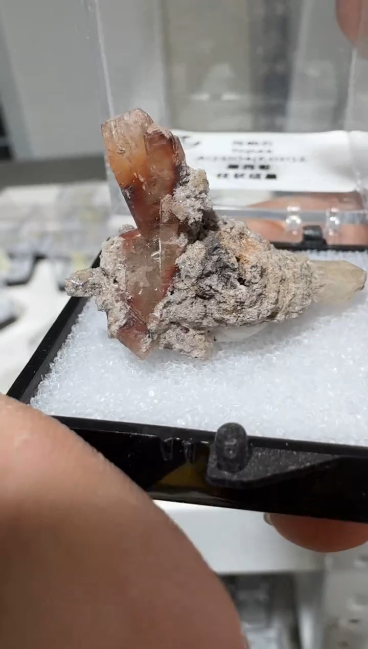 【闪购商品】月下珠宝严选矿物