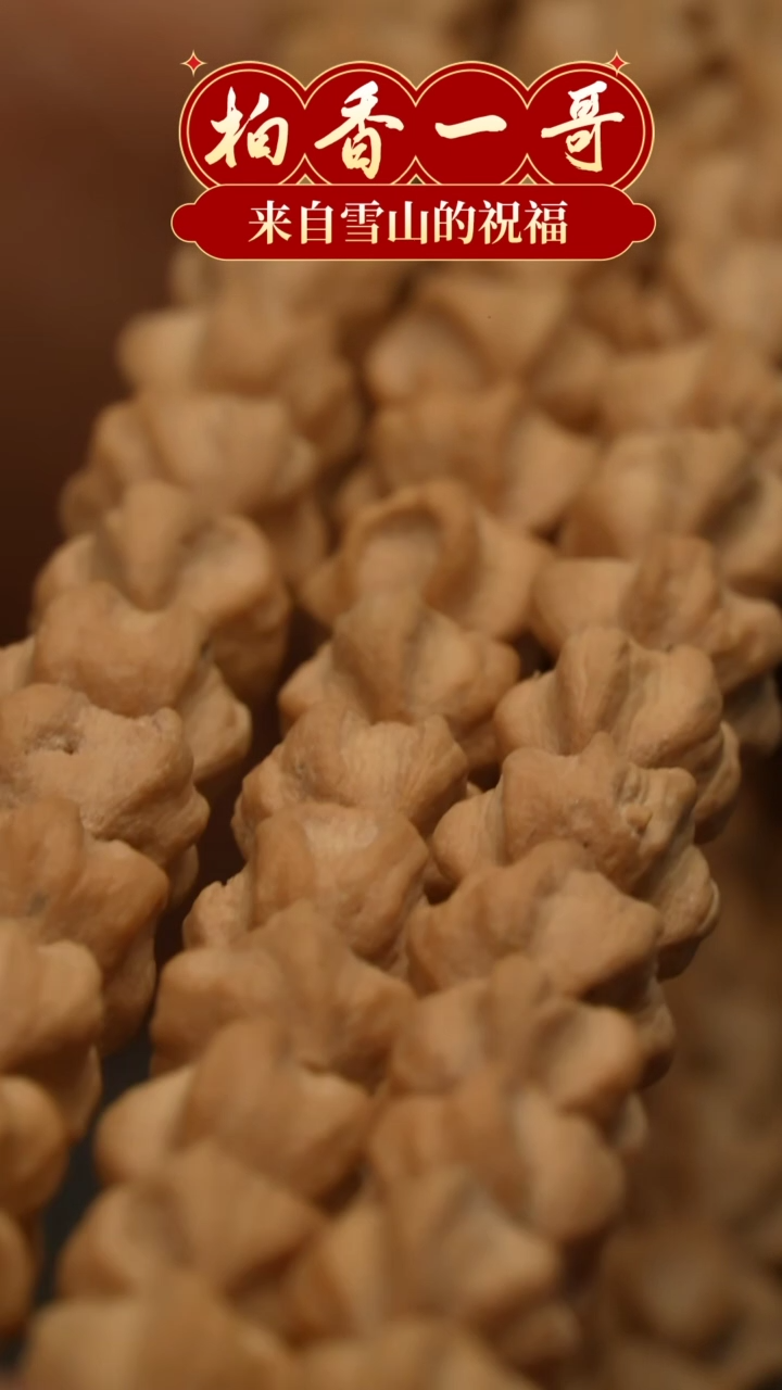 【闪购商品】柏香籽/百香籽吊坠1210