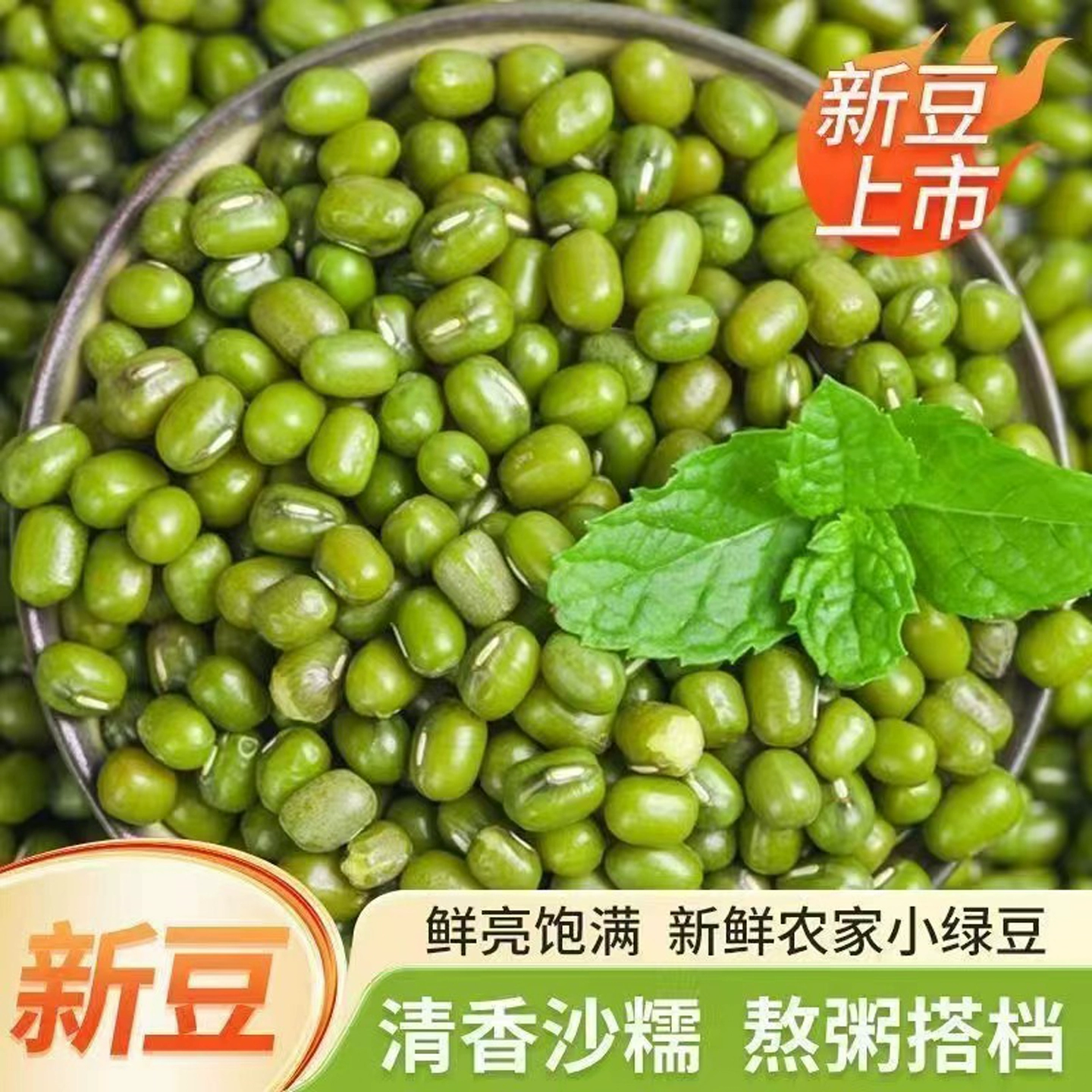 云南绿豆新鲜绿豆农家自种新绿豆解暑绿豆汤煮粥易出沙