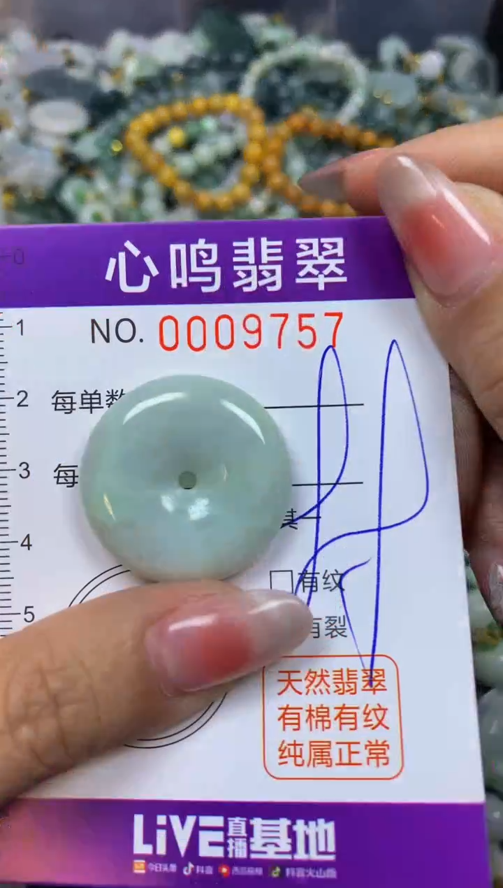 【闪购商品】翡翠颈饰未镶嵌闪购009757