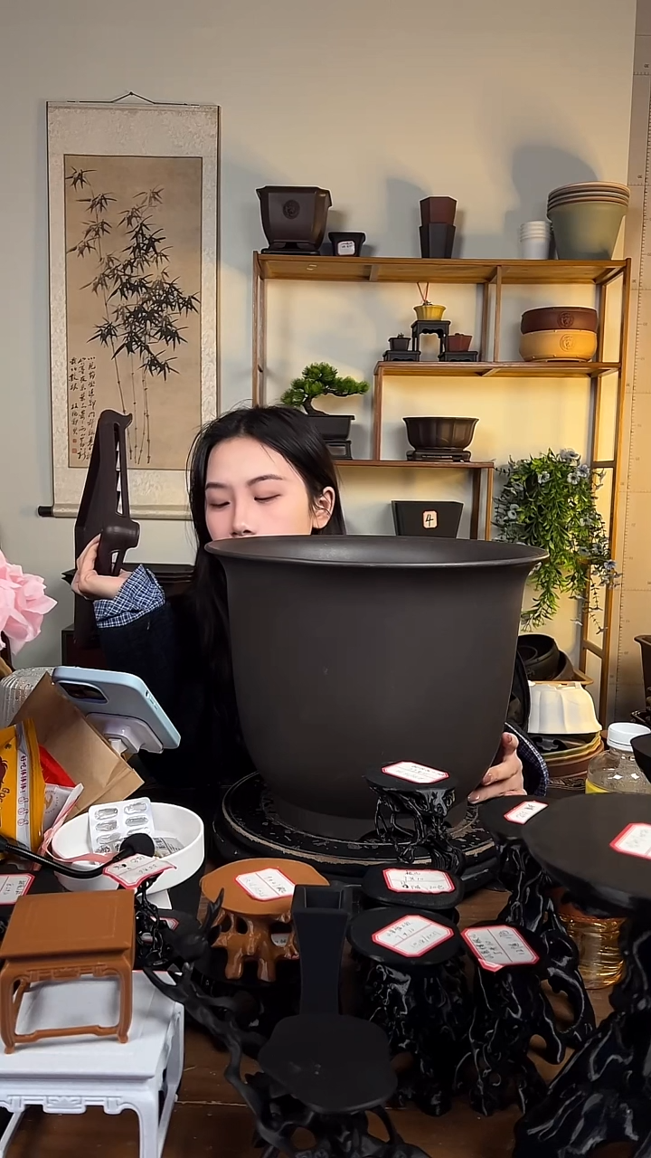 35*27金钟紫檀色2只装