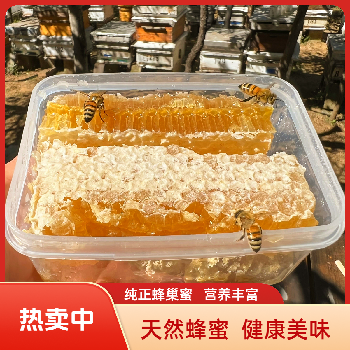 新鲜现切嚼着吃的山花蜂巢蜜秦岭野蜂蜜农家自产