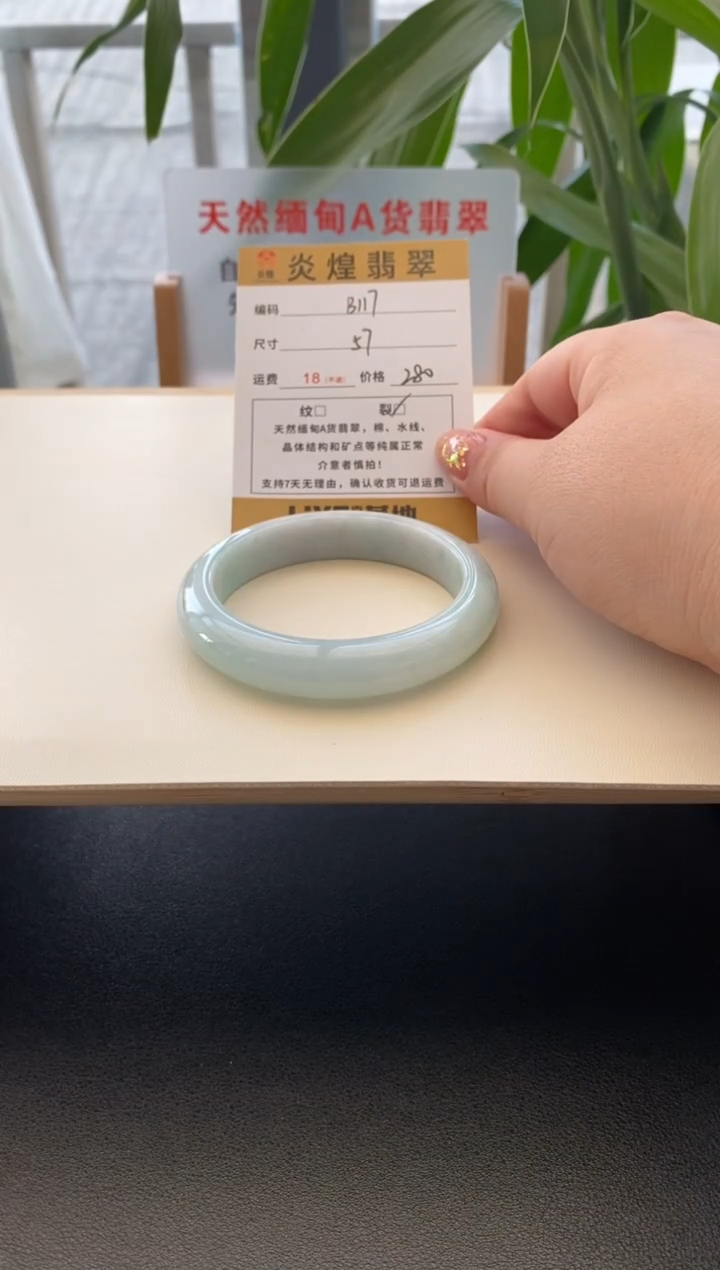 未镶嵌手镯翡翠57.2圈口编码b117