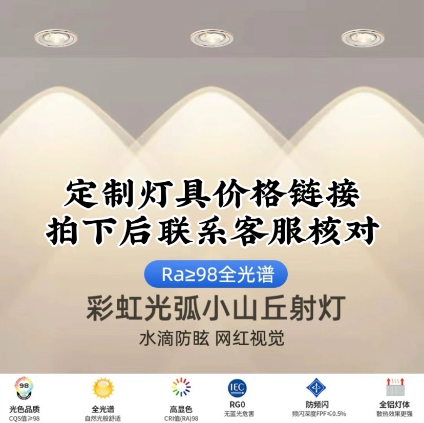 定制下单链接拍下后联系客服核对款式筒灯射灯家用无主灯