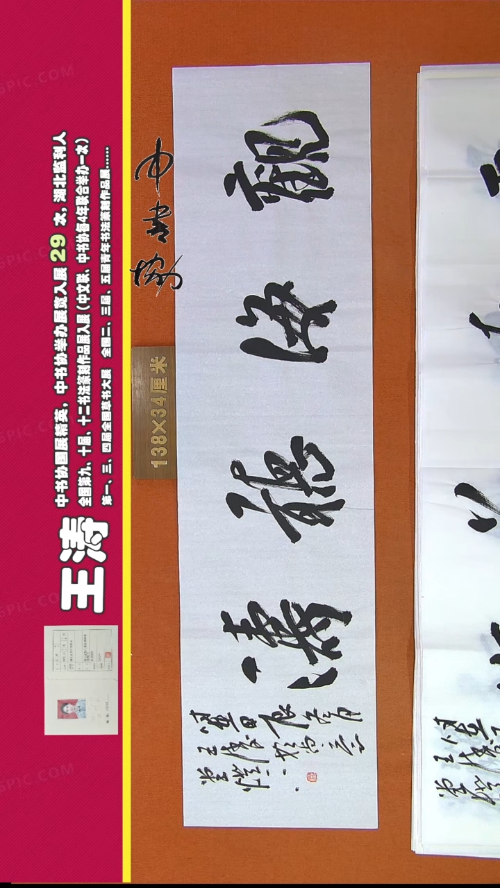 【闪购商品】书法357王涛书法作品