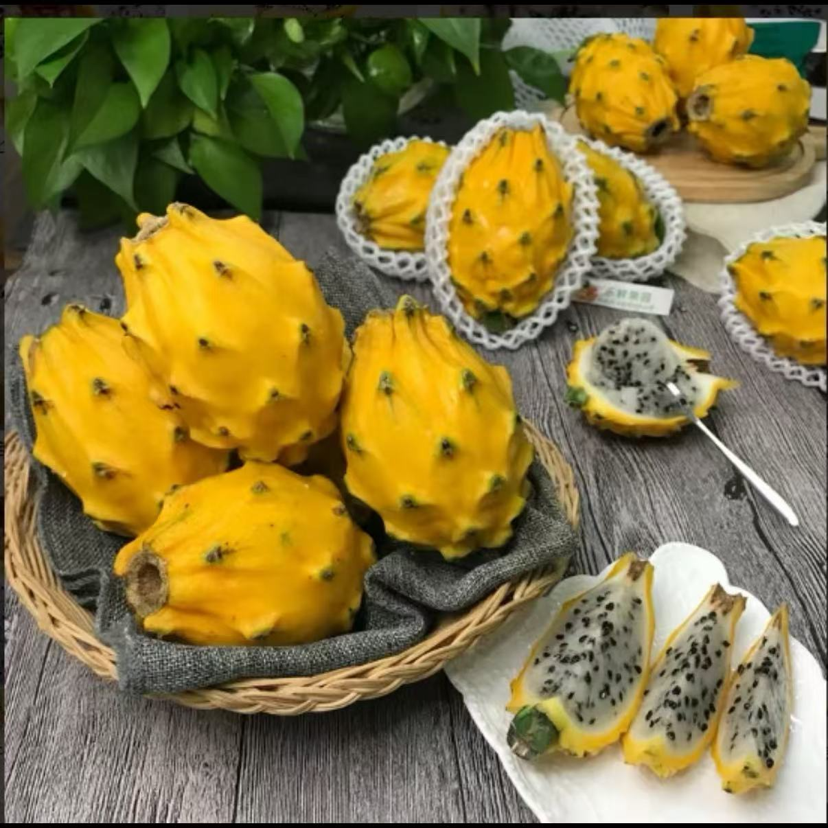 【果匀精选】燕窝果（一个）