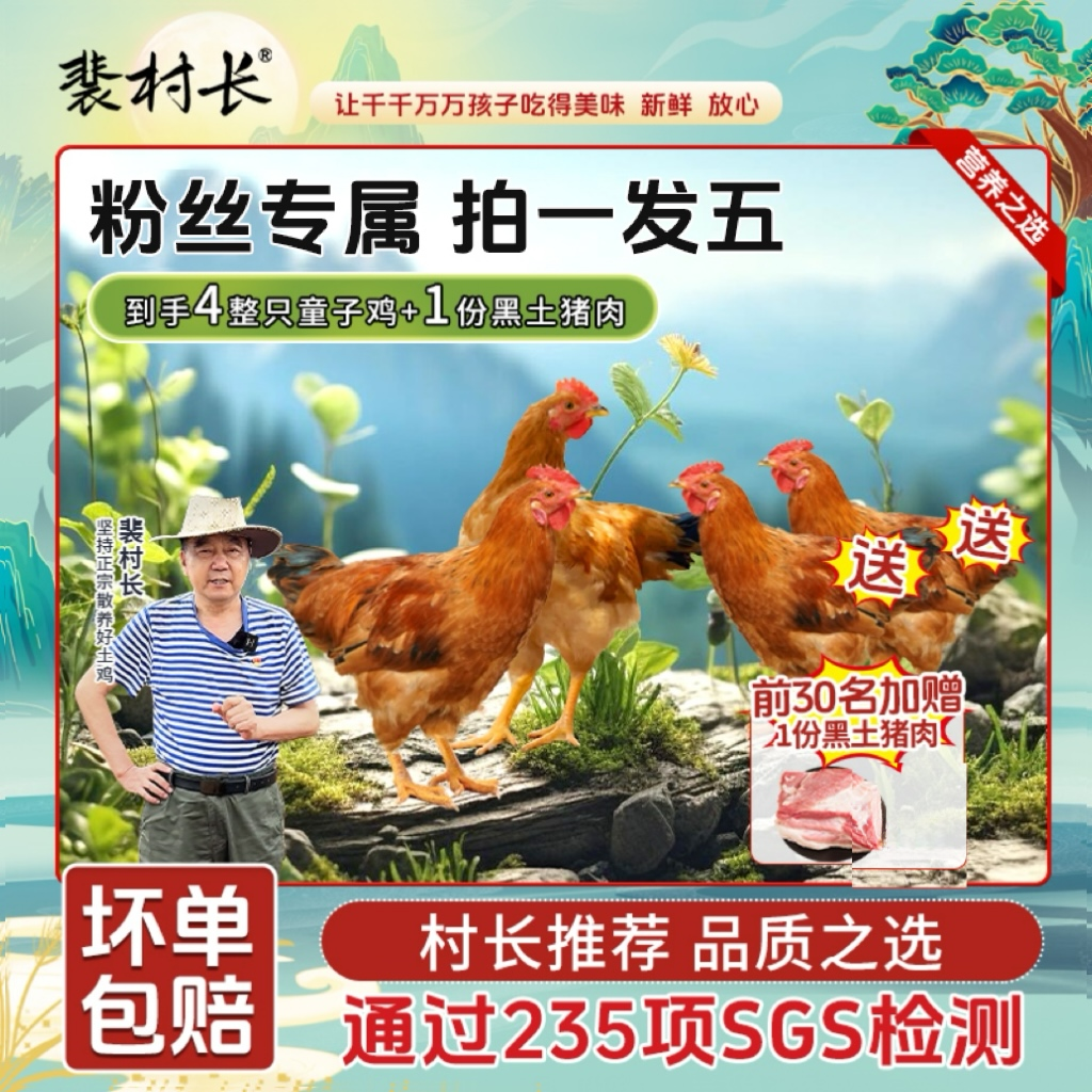 【拍一发五】到手四只裴村长散养童子鸡加赠土黑猪肉