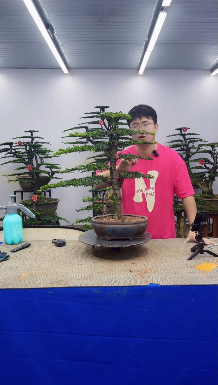 无花朵一物一拍，所见即所得