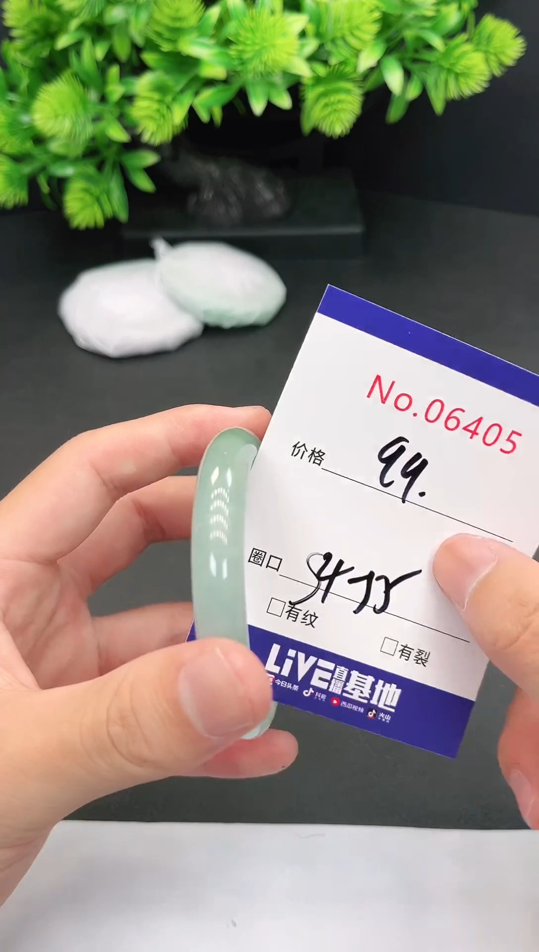 未镶嵌手镯翡翠6405