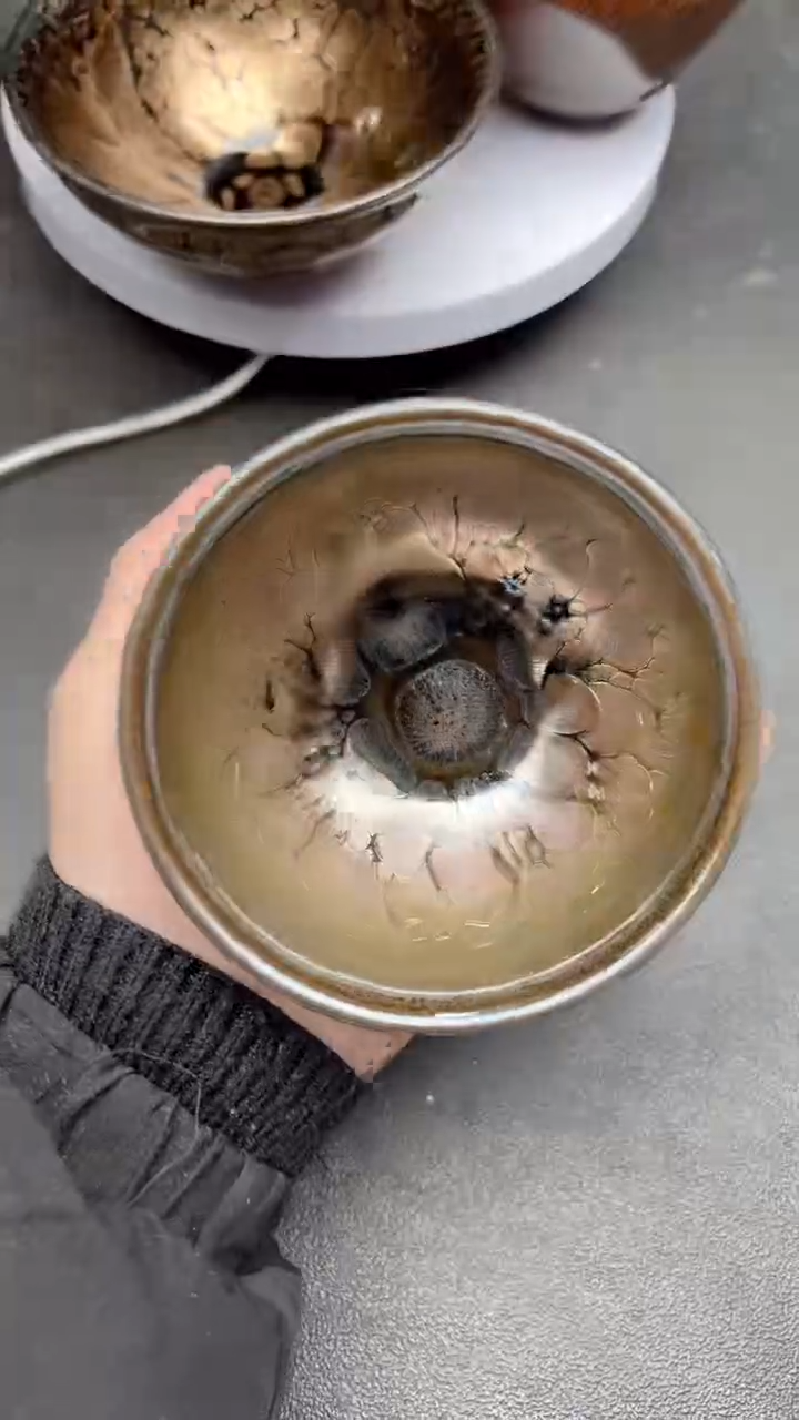 【闪购商品】茶盏95建盏建盏建盏