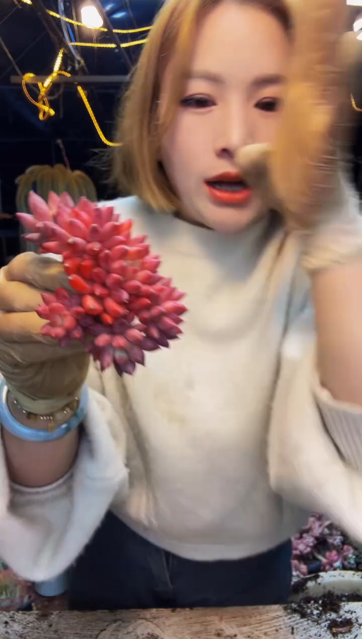 3号一物一拍脱土包邮