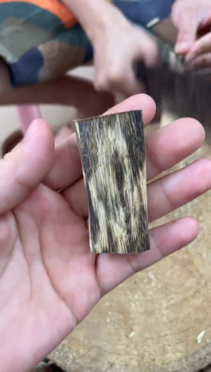 【闪购商品】沉香碎屑沉香木棋楠沉香 原料文创1