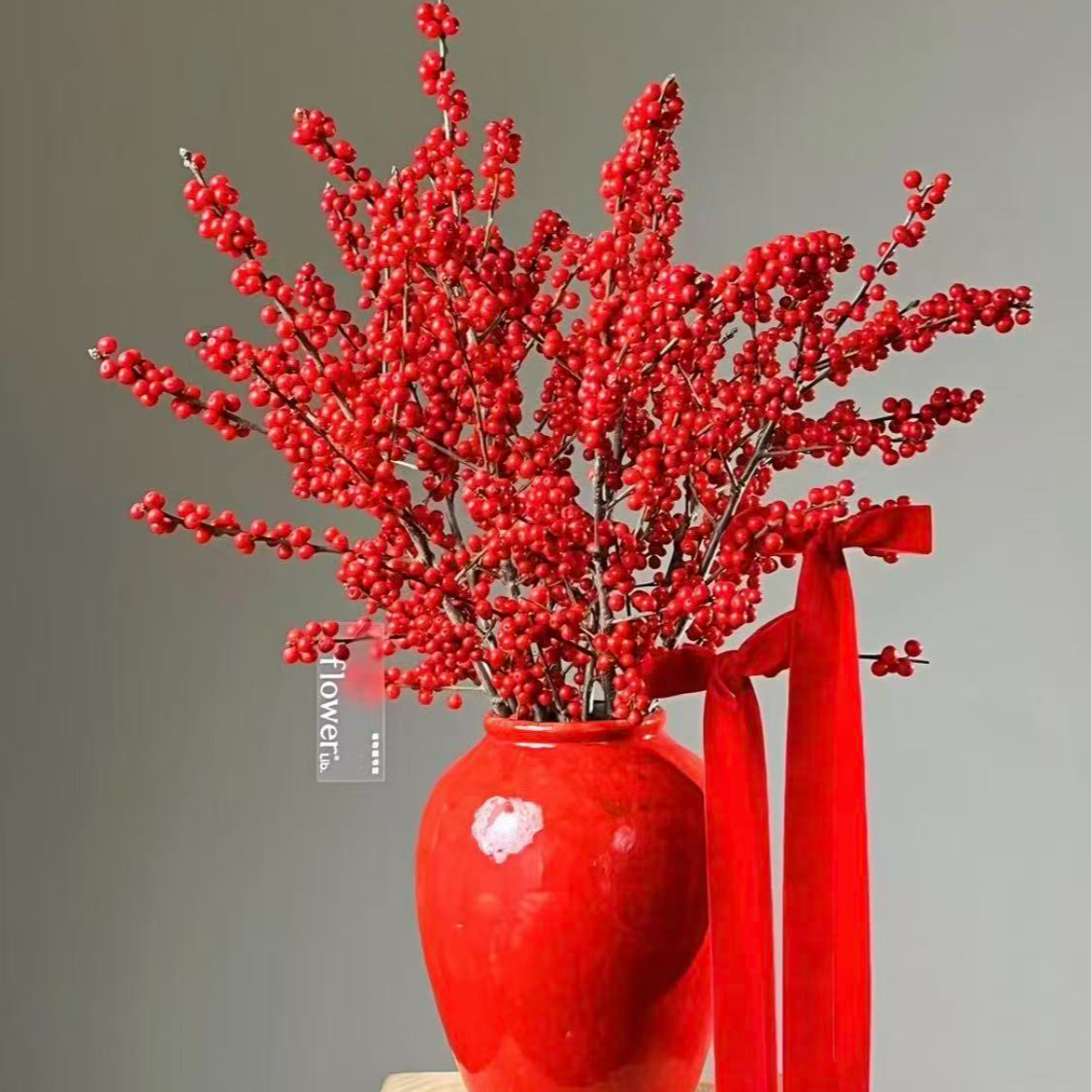 A级稀有北美冬青 