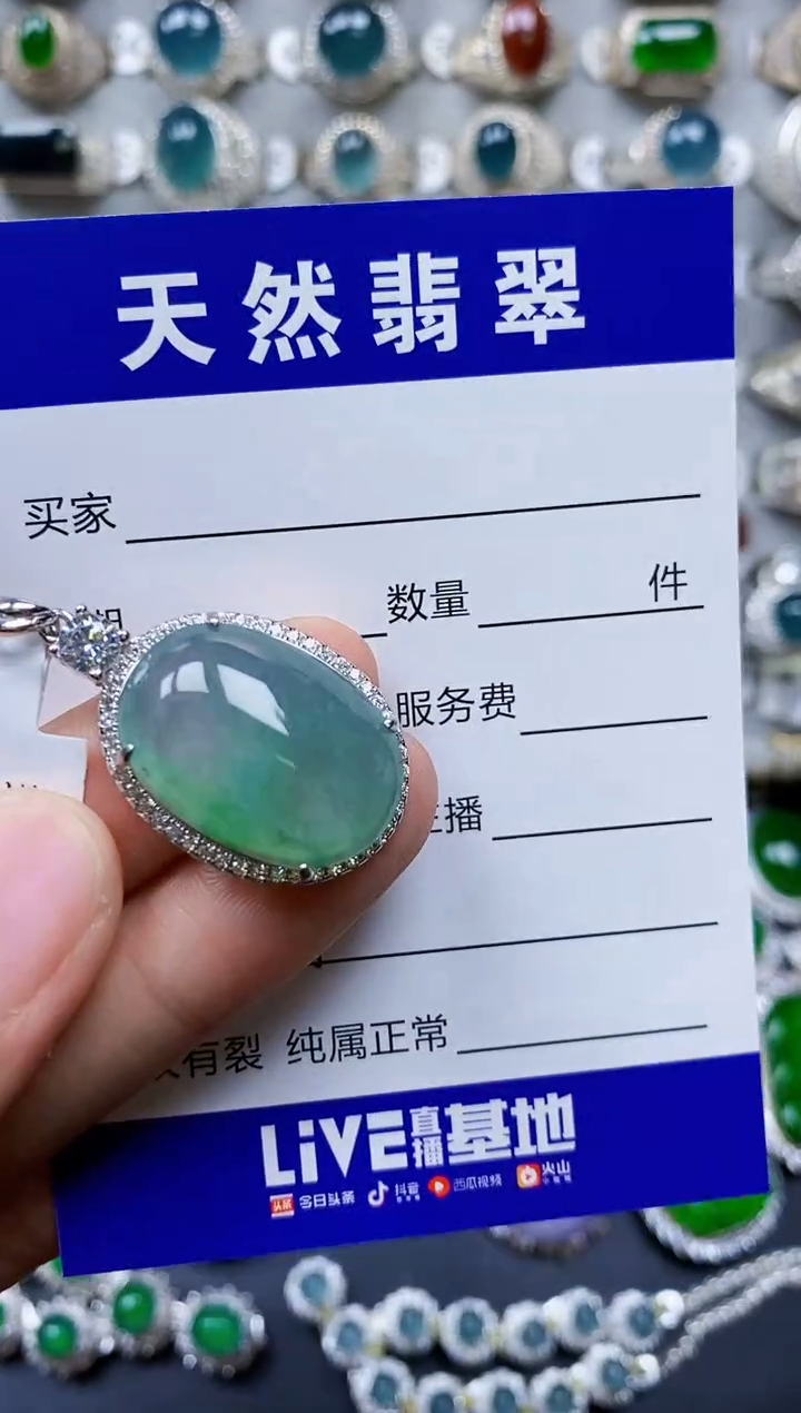 【闪购商品】翡翠银S925镶嵌颈饰0495