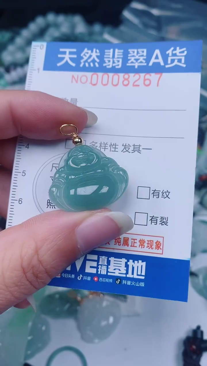 颈饰未镶嵌翡翠00008267