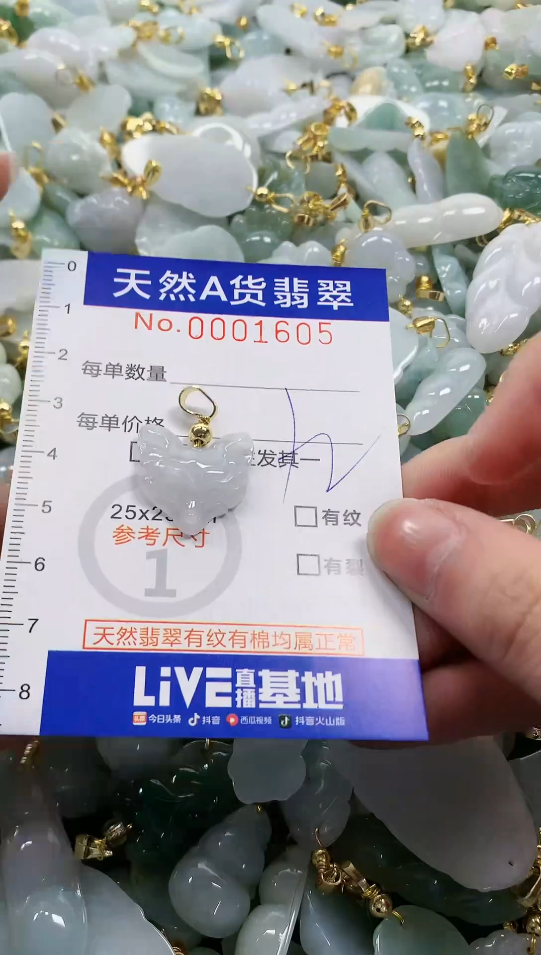 颈饰未镶嵌翡翠纯天然a货翡翠