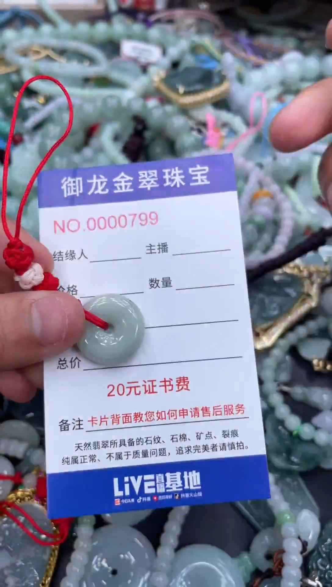 翡翠未镶嵌颈饰089