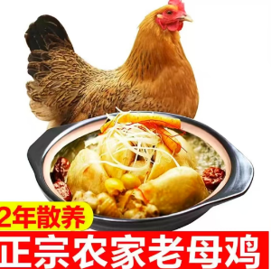 散养两年以上大冠母鸡 包冰率不含冰