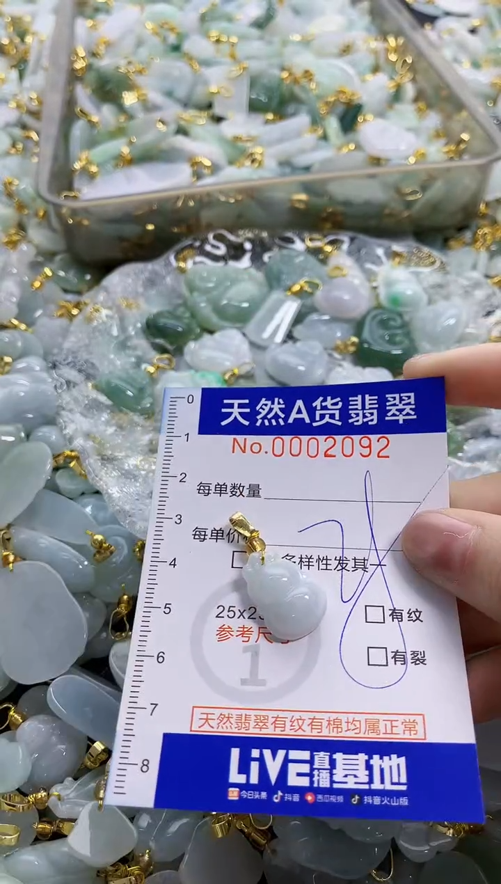 颈饰未镶嵌翡翠纯天然a货翡翠