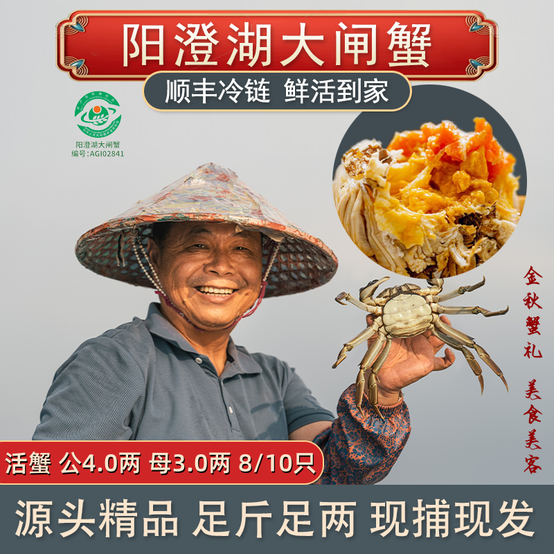【活蟹】 阳澄湖大闸蟹老龚家 公蟹4.0两 母蟹3.0两共8只/10只塘养