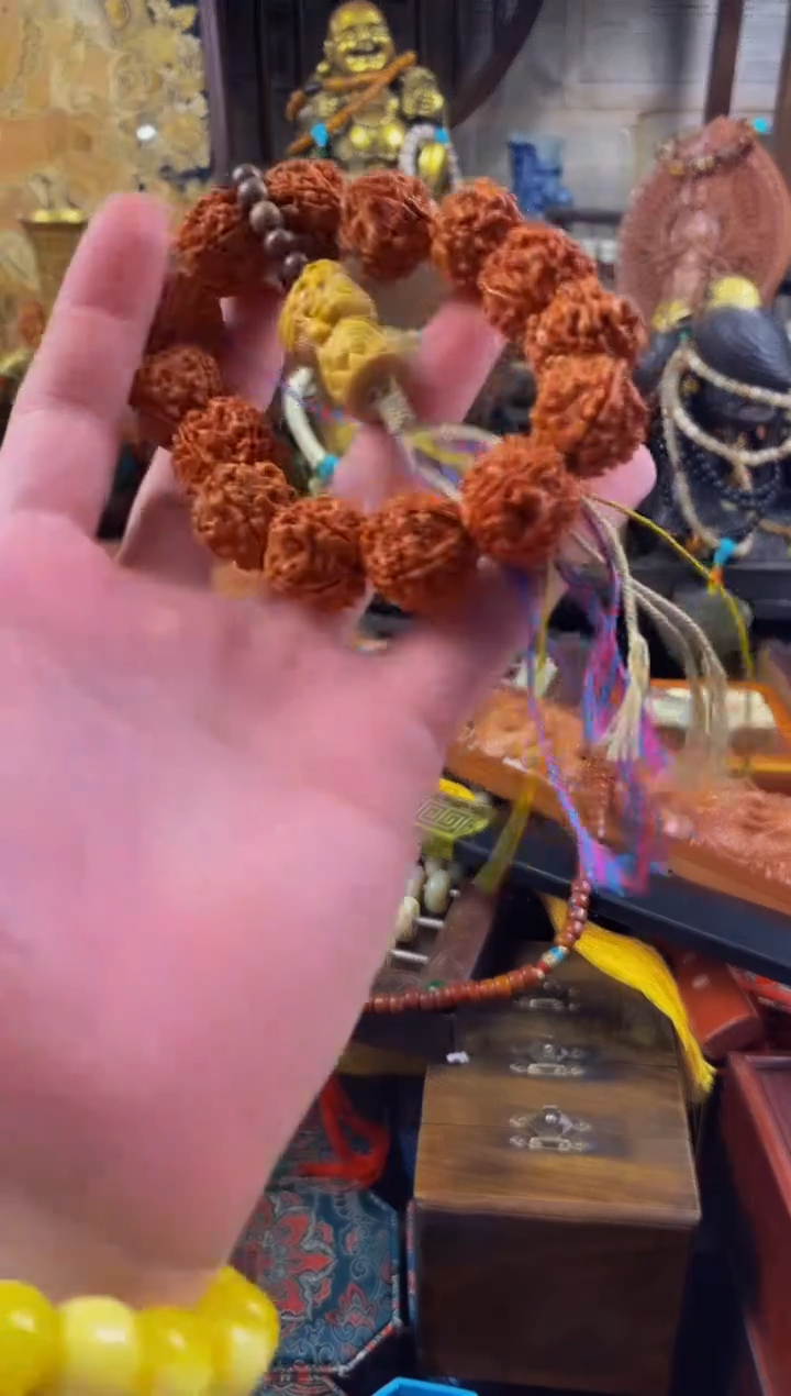 木贰号院直播精选推荐