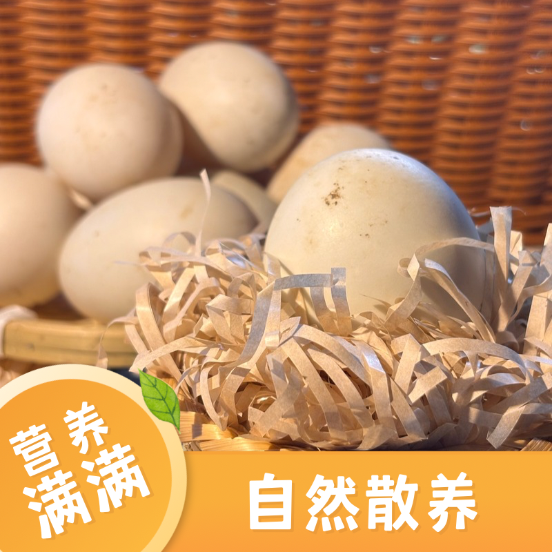 【凤头鸭鸭蛋】30枚永顺凤头鸭鸭蛋—无菌无腥富晒富钙