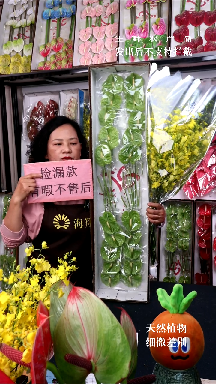 绿掌20支小掌+B级跳舞兰1束，微瑕无售后介意慎拍