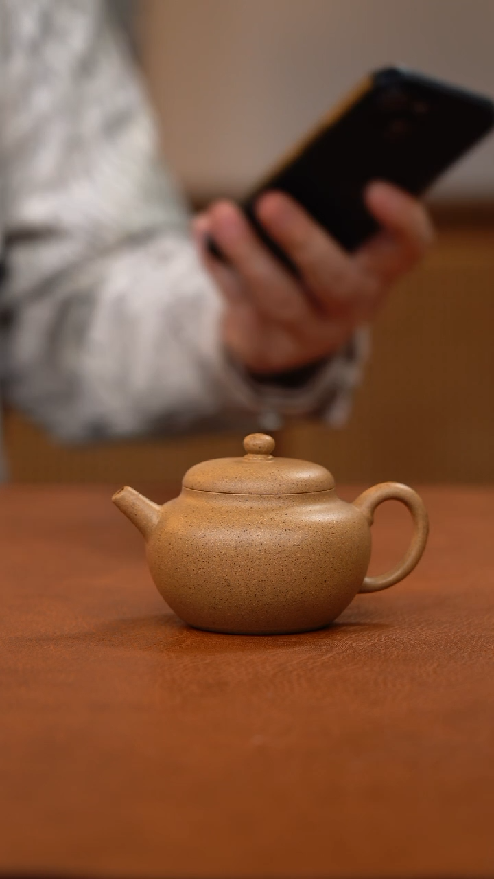 【闪购商品】紫砂茶壶黄段 玄玉