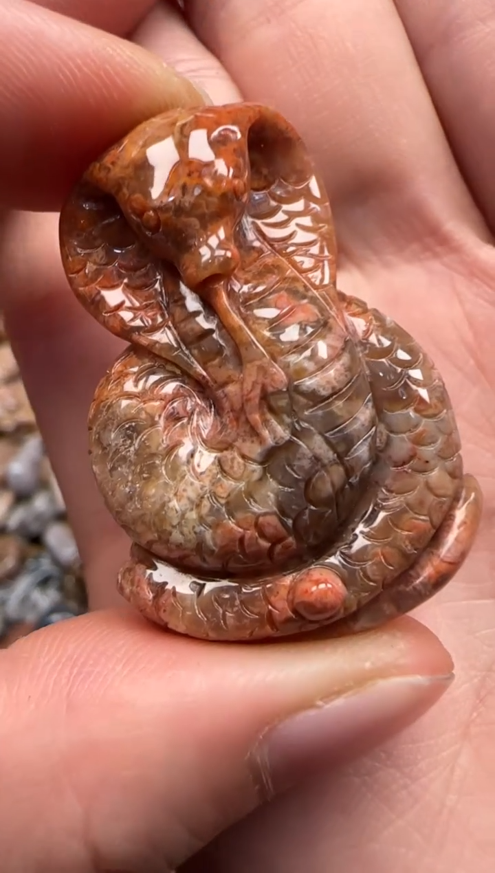 【闪购商品】硅化珊瑚（珊瑚玉）颈饰未镶嵌243