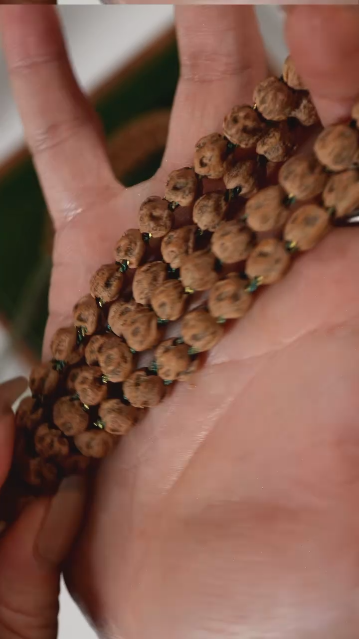 柏香籽/百香籽手串JG57热振双线三眼原桩红皮百香精品长串