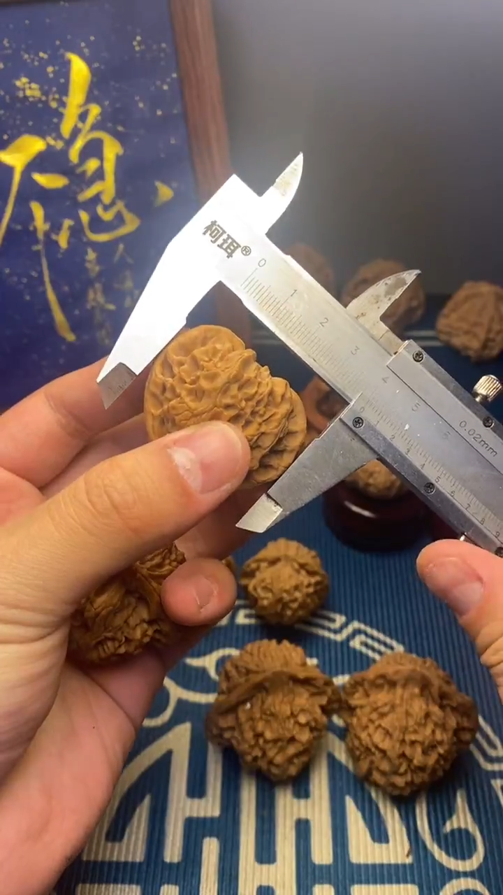 手串/手链贝壳文玩核桃尺寸（fffff付）