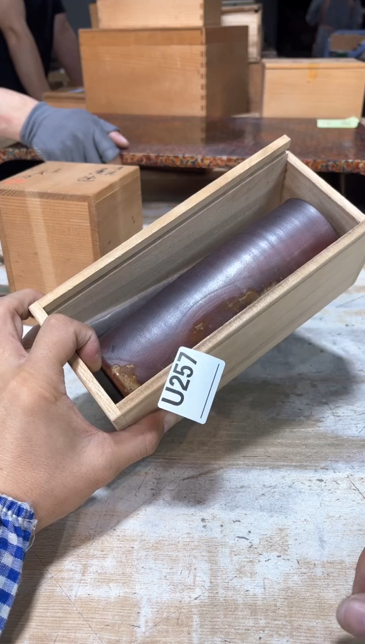 风**相直播定闪专用链接123