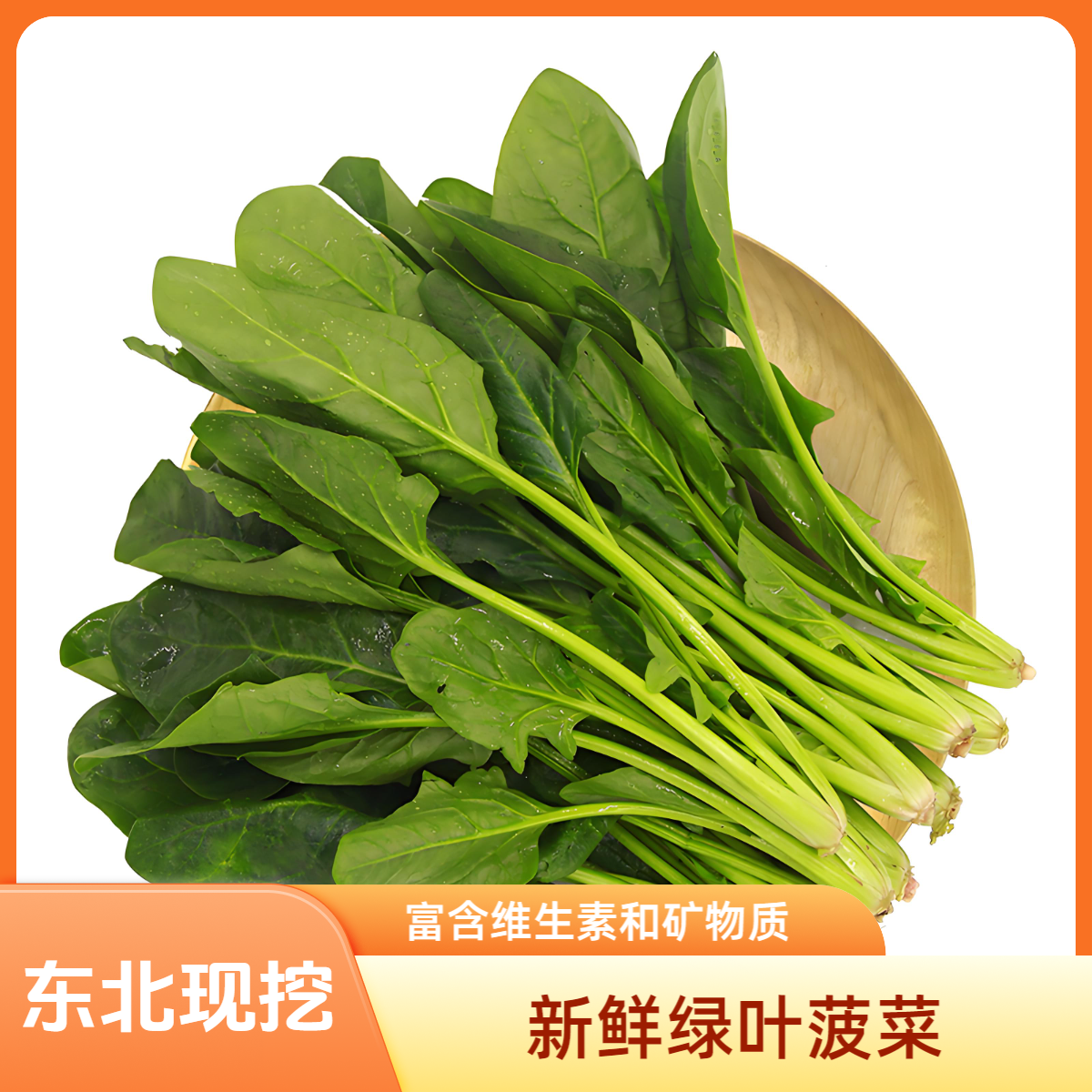 菠菜850g顺丰包邮（小嫩沈阳农家自种现挖现发）菠菜