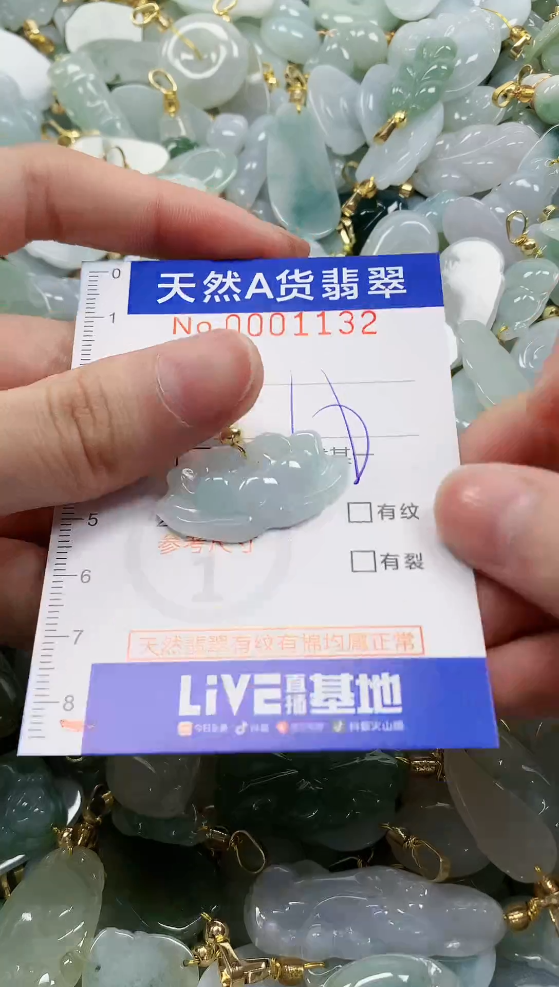 颈饰未镶嵌翡翠纯天然a货翡翠