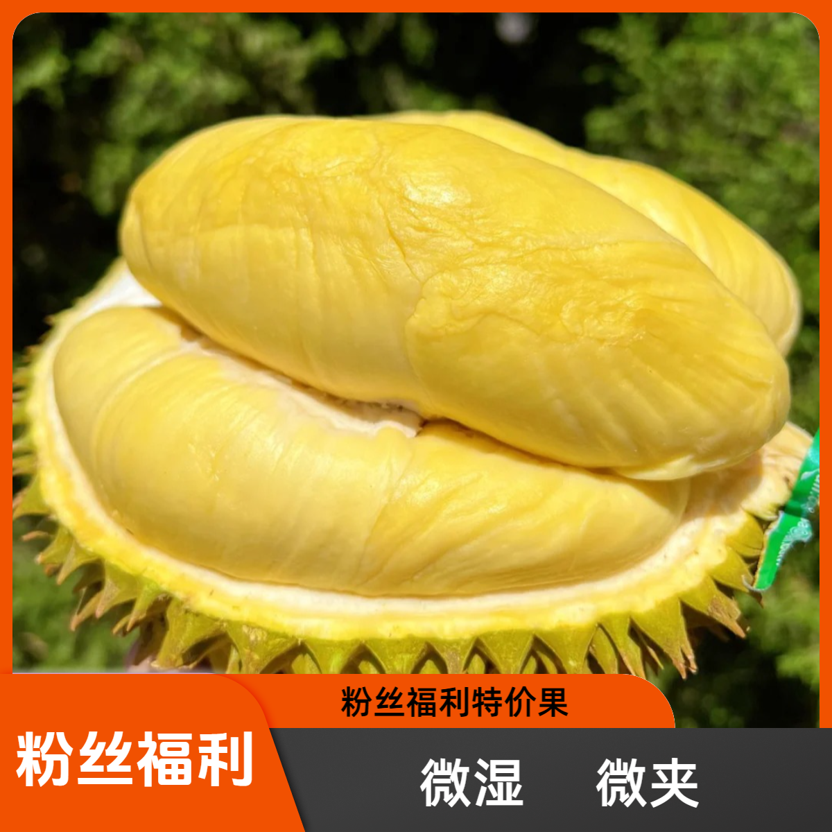 111粉丝福利（微湿/微夹）【佛山同城】泰国金枕新鲜榴莲核小肉大一果一重（不包口感）金枕泰国