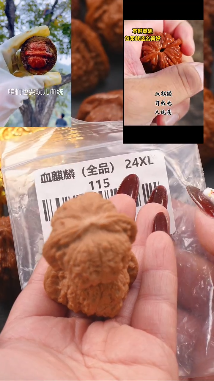 【闪购商品】文玩核桃把件42血麒麟狮子头（全品）