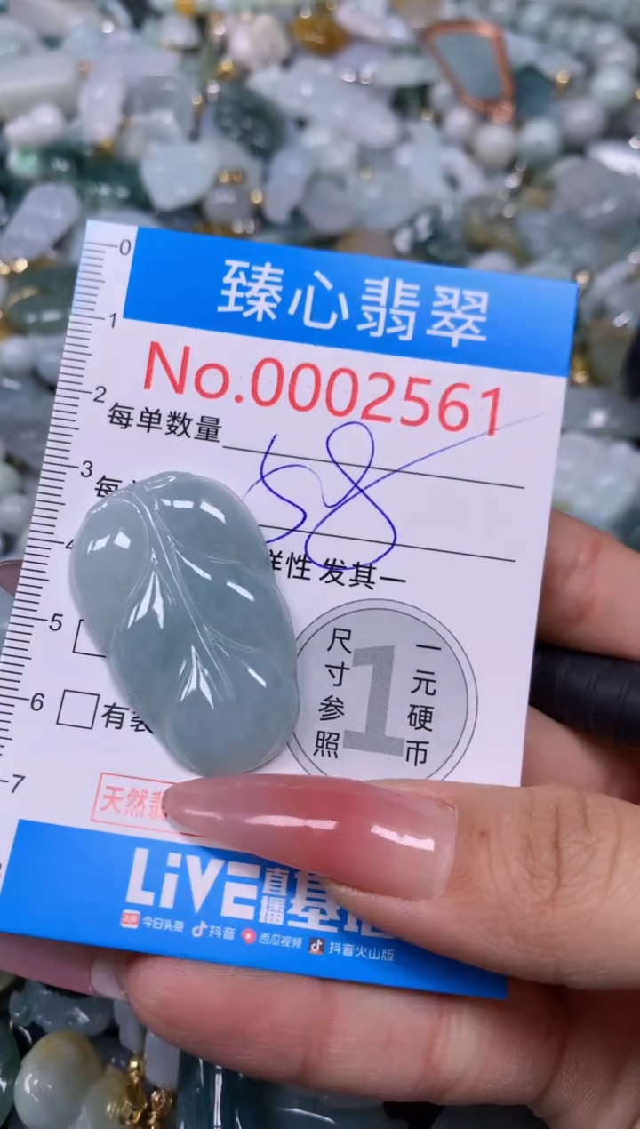 【闪购商品】翡翠颈饰未镶嵌含绳0002561