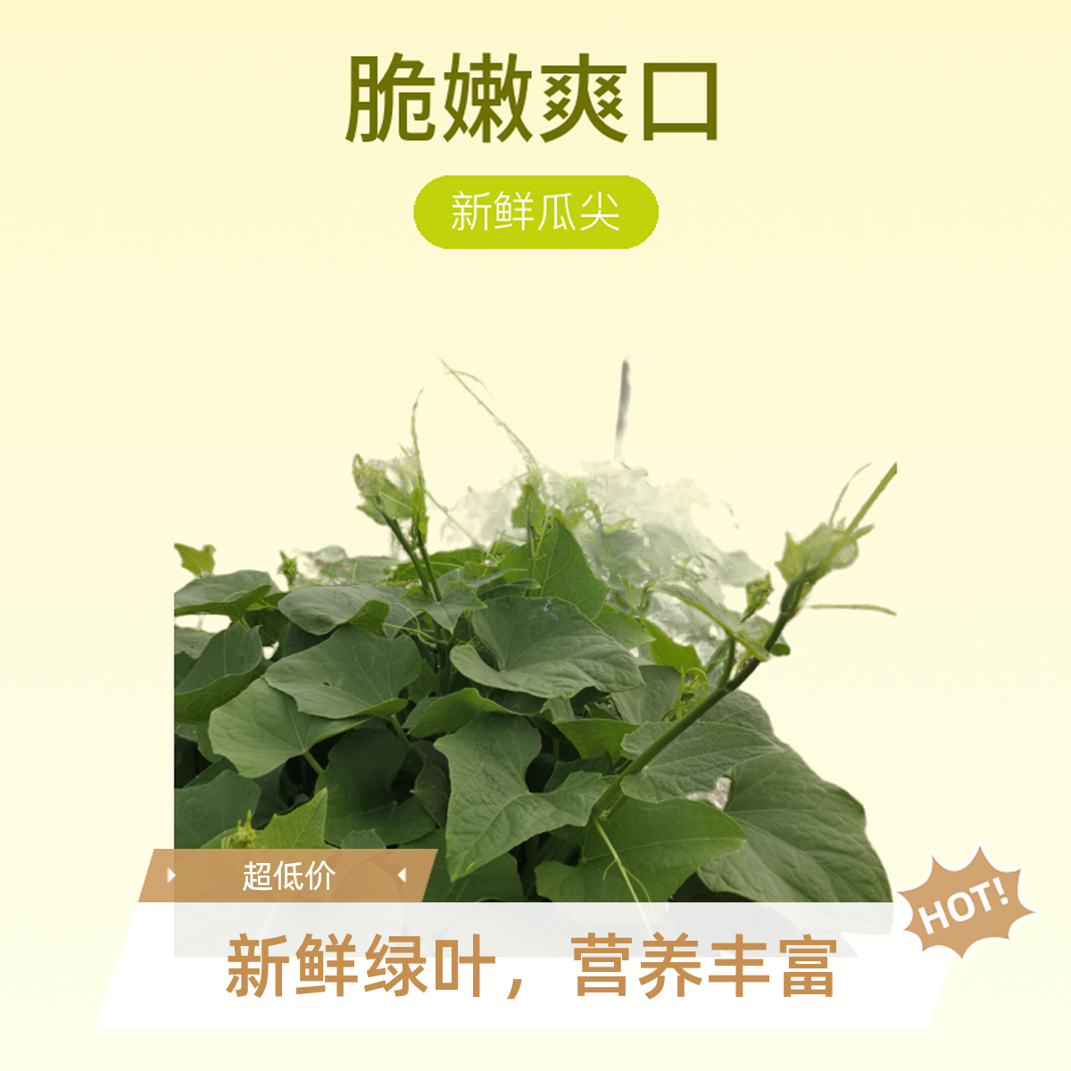 农家佛手瓜尖捧瓜尖新鲜嫩芽瓜尖脆嫩爽口龙须菜