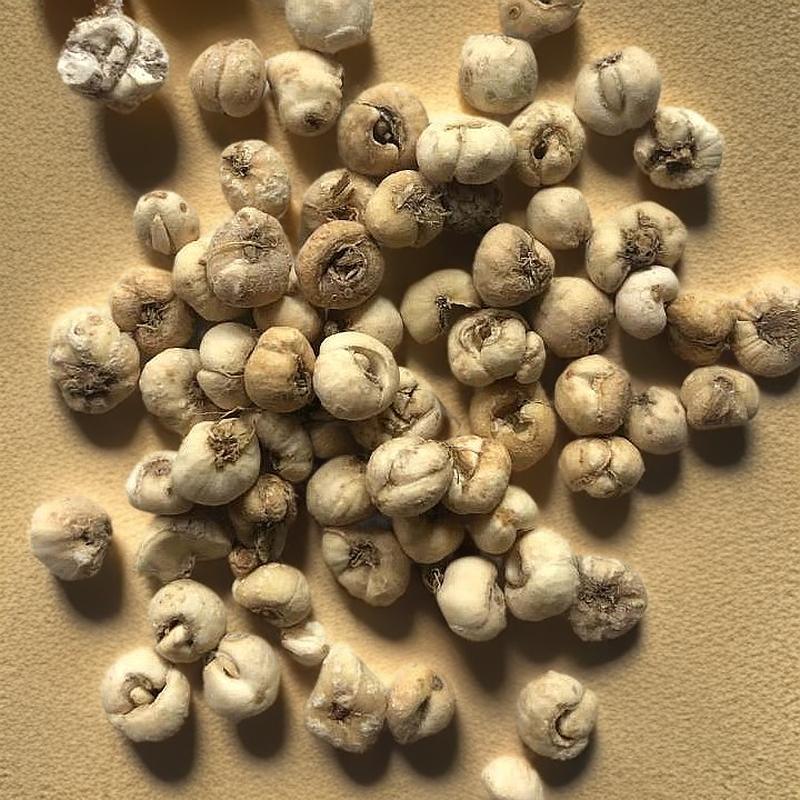 云南山林新鲜贝母自然晒干