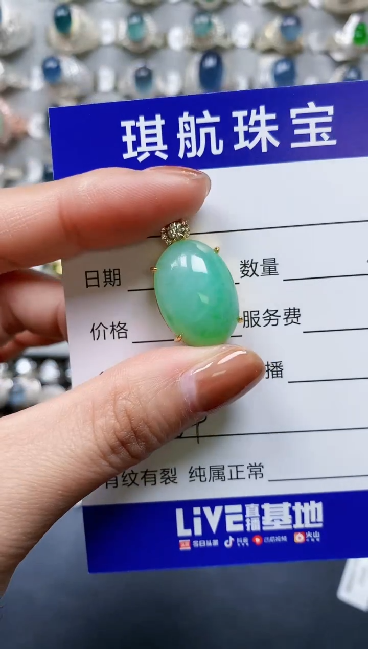 【闪购商品】翡翠颈饰银S925镶嵌0204