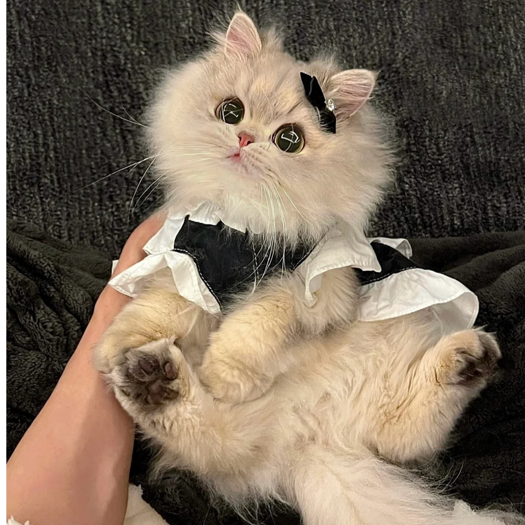 【蓝色牌牌】全品种一对一挑选 不满意全额退