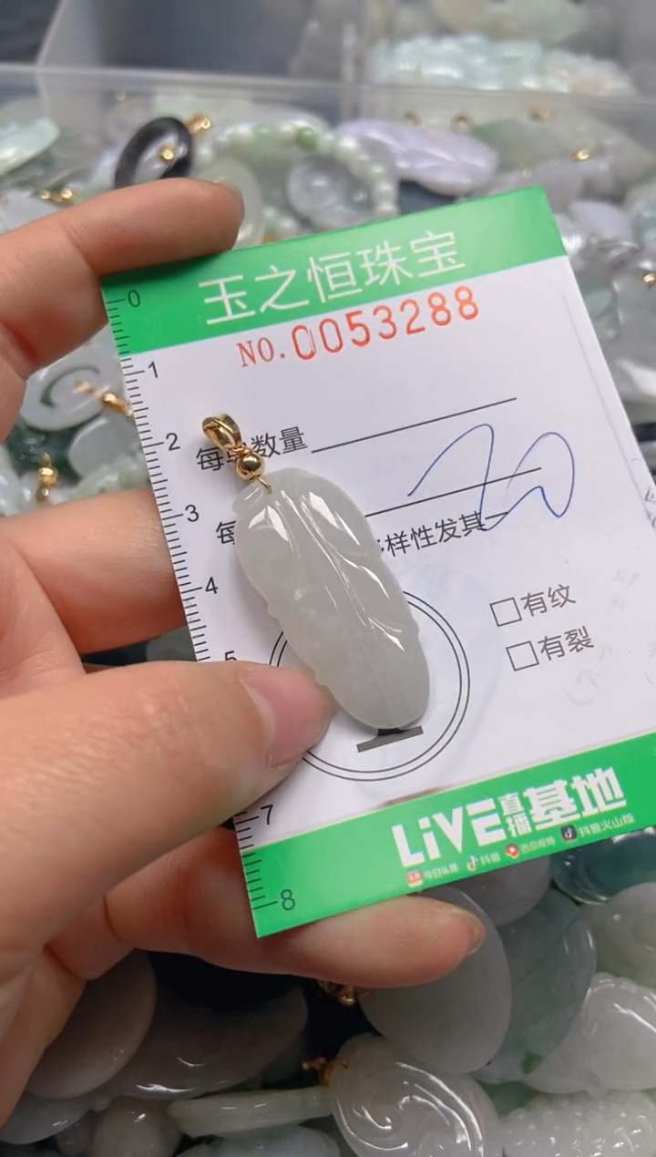 【闪购商品】翡翠颈饰未镶嵌闪购0053288