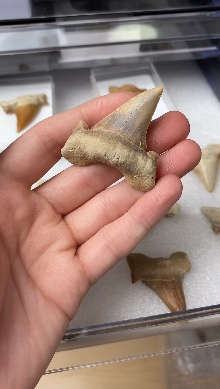 精美摆件创意礼物家居配饰新年礼物个人收藏