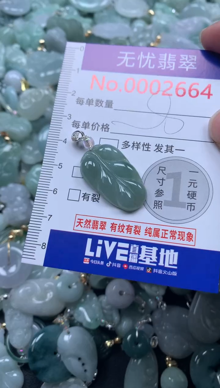 颈饰未镶嵌翡翠2664