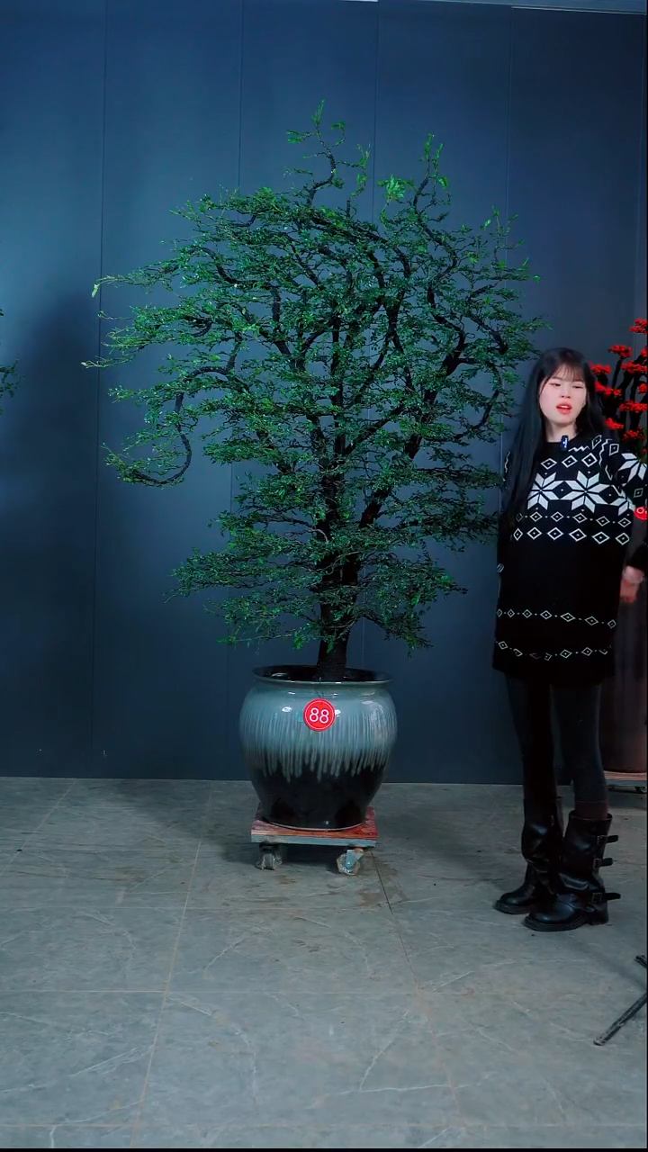 无花朵恒**哥广东的小叶紫檀.88